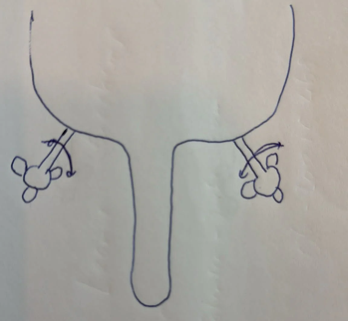 Productafbeelding 39